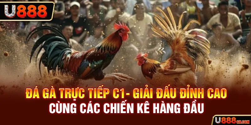 Đá Gà Trực Tiếp C1 - Trải Nghiệm Kiếm Thưởng Cùng Thần Kê Đá gà trực tiếp C1- Giải đấu đỉnh cao cùng các chiến kê hàng đầu