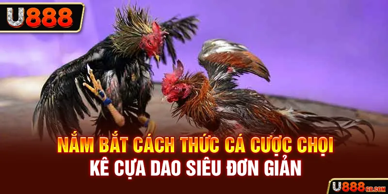 Đá Gà Cựa Dao - Loại Hình Chọi Kê Máu Lửa Bậc Nhất 2026 Nắm bắt cách thức cá cược chọi kê cựa dao siêu đơn giản