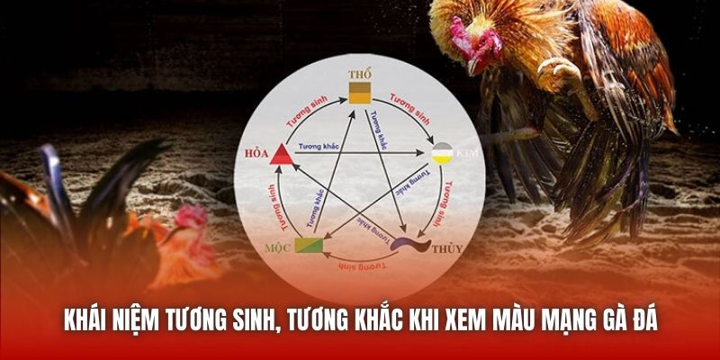 Khái niệm tương sinh, tương khắc khi xem màu mạng gà đá